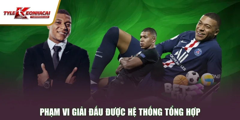 Phạm vi giải đấu được hệ thống tổng hợp